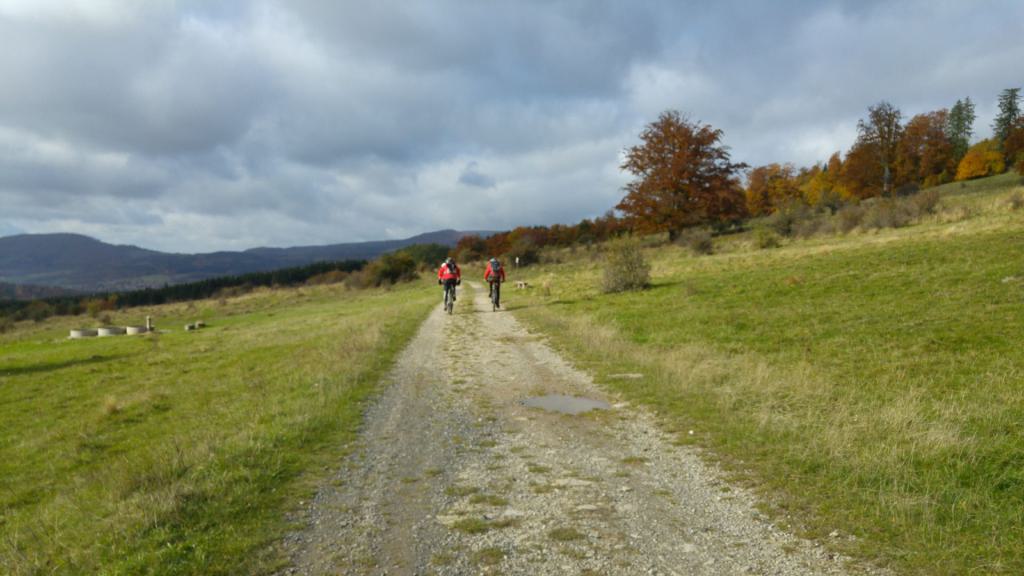 Mounatinbiker am Arnsberg